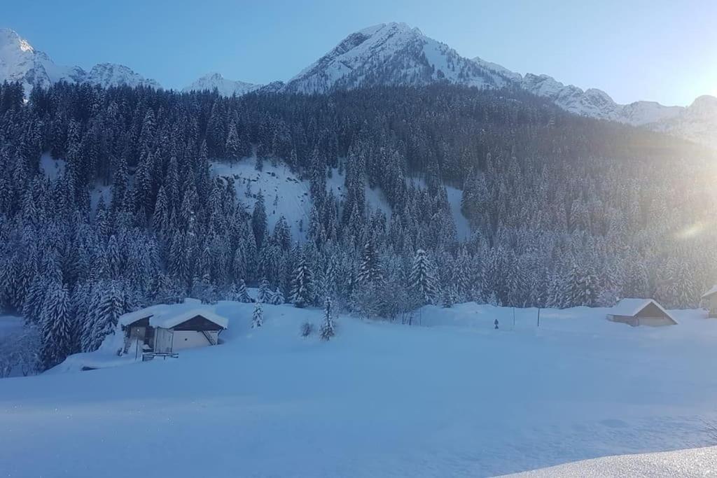 Chalet Rustico Bertolini Per Gruppi! Villa Vermiglio Esterno foto