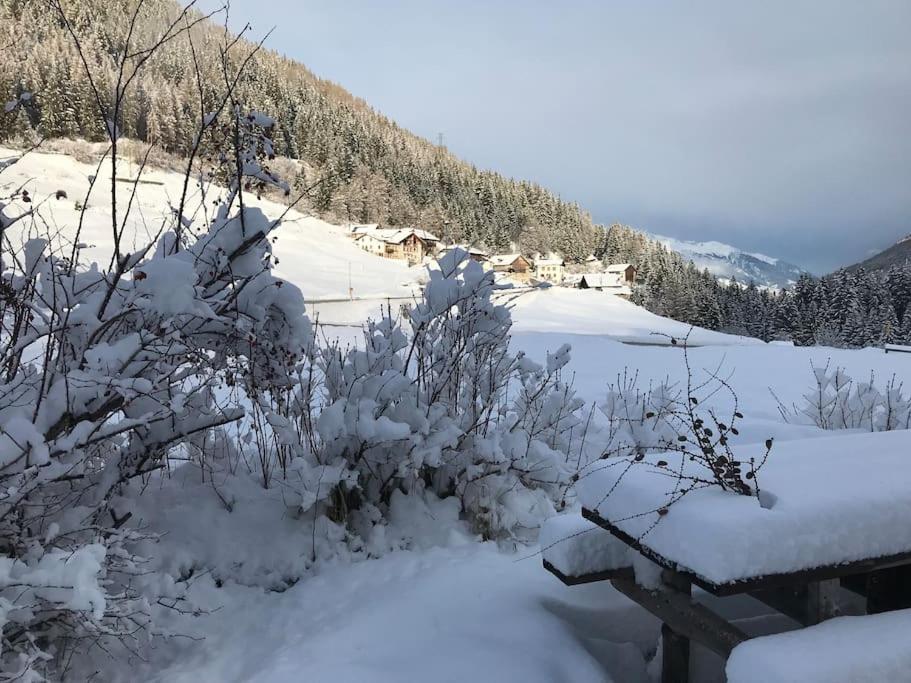Chalet Rustico Bertolini Per Gruppi! Villa Vermiglio Esterno foto
