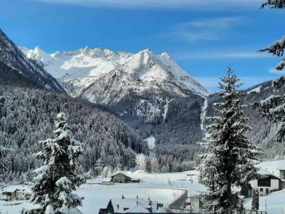 Chalet Rustico Bertolini Per Gruppi! Villa Vermiglio Esterno foto
