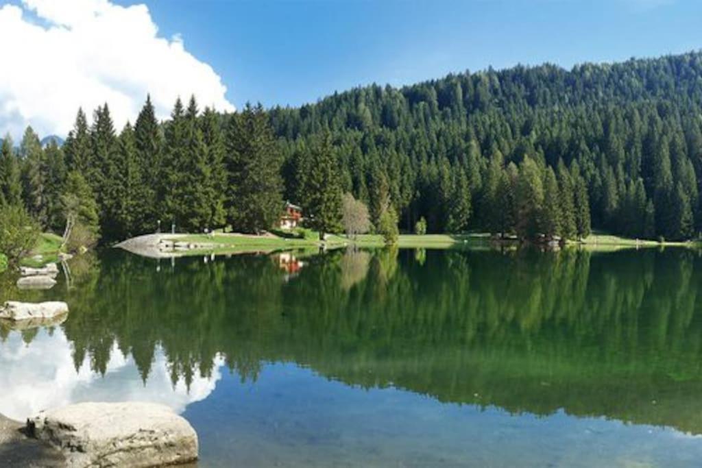 Chalet Rustico Bertolini Per Gruppi! Villa Vermiglio Esterno foto
